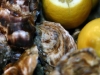 oesters-4