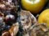 oesters-4